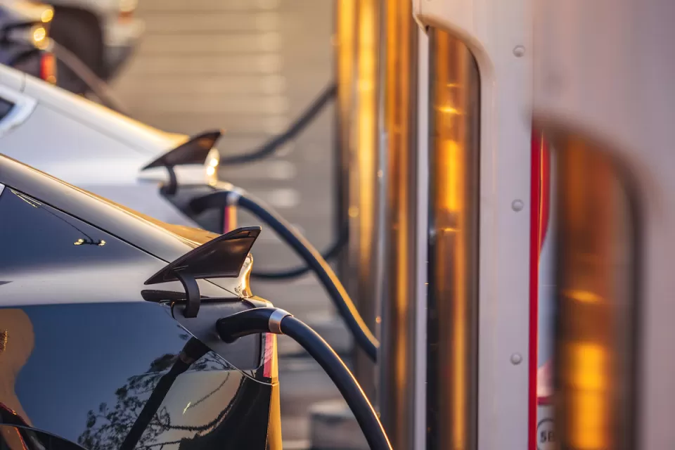 Close-up of row of electric cars plugged into chargers at outdoor station.